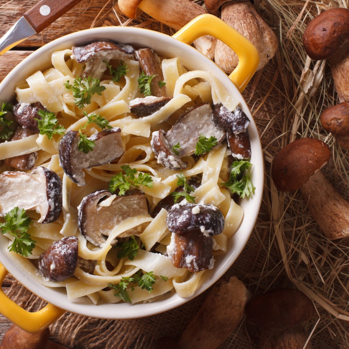 Porcini Mushroom Sauce Easy Recipe for Home Cooks